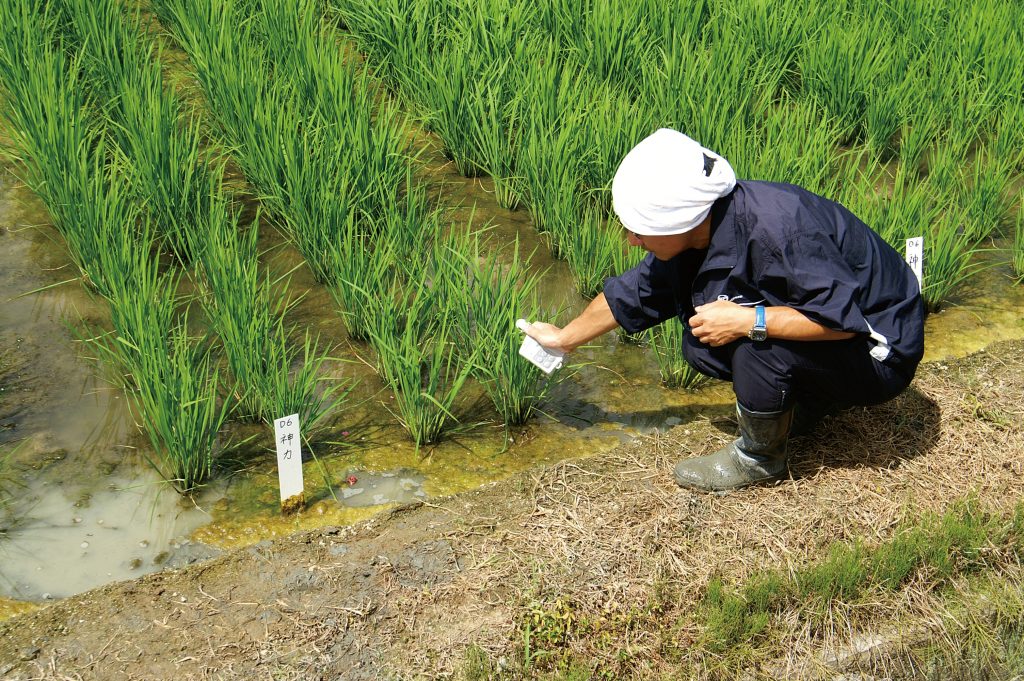 Chlorophyll Meter SPAD-502Plus for agricultural products